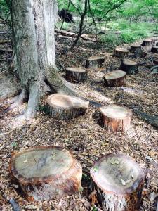 10659219_10152678976320783_6555656546980426927_n