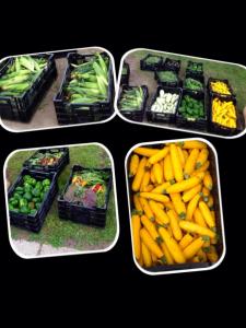 10551001_619286838168471_852609067296506510_n