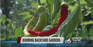 Screenshot 2014-08-02 20.51.27