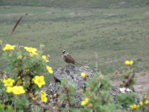 10372740_769965403062504_690116650380972479_n